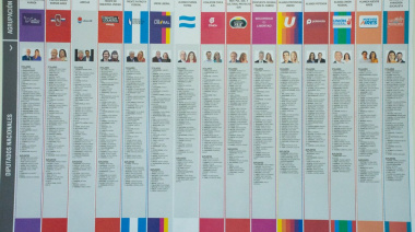 La Cámara Electoral destrozó otro fallo de Ramos Padilla: Se deberán reimprimir los afiches de candidatos