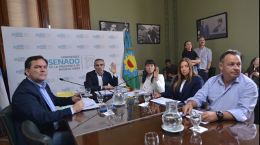 El Senado bonaerense avanza con la creación del INCAA provincial