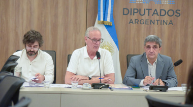 Crisis sanitaria: Gollán denuncia que el Congreso “propicia” un delito antivacunas