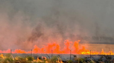 Preocupación por la falta de respuesta por los incendios forestales en el sur bonaerense