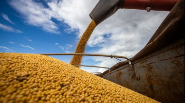 Un informe del campo muestra una “desaceleración” de la actividad