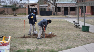 Trenque Lauquen se destacó a nivel nacional por su política de forestación