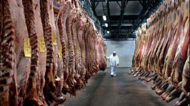 Crisis en la industria cárnica: cerró el Frigorífico San Roque en Morón y despidió a 140 trabajadores