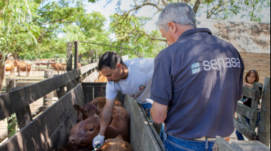 CARBAP rechaza la desregulación de la vacuna antiaftosa
