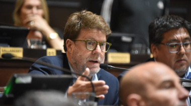 Un paso hacia la inclusión en Diputados: buscan un abordaje integral del Síndrome de Down