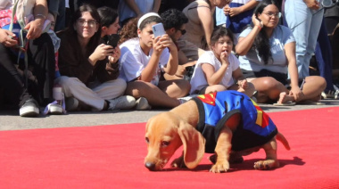 Domingo de mascotas en La Plata: desfile, vacunación gratuita y feria en Plaza Azcuénaga