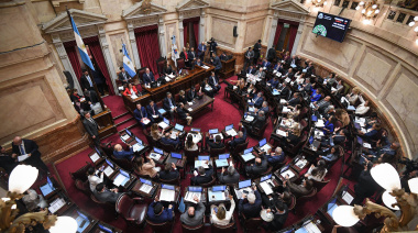Entre gritos y rosca, el Senado desafió a la Casa Rosada y aprobó el pliego de Michelli