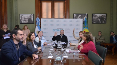 Sin lugar en el Gabinete de Milei, Diego Valenzuela volvió al Senado