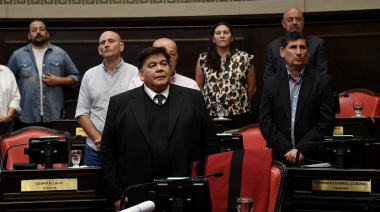 Ishii presiona en el Senado para imponer las Emergencias Alimentaria y Sanitaria sobretablas