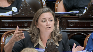 “Estatuto legal del coloniaje”: Vanesa Siley fustigó la media sanción del “Súper RIGI”
