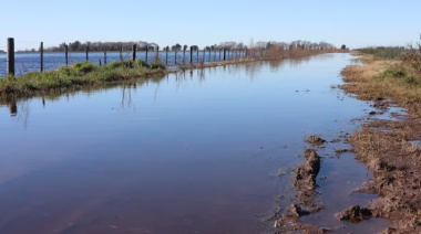 La Provincia declaró la Emergencia Agropecuaria por inundaciones en 9 de Julio y Necochea