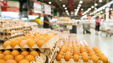 Sinergia Animal presentó el ranking de supermercados y alertó sobre la falta de compromisos “libres de jaulas”
