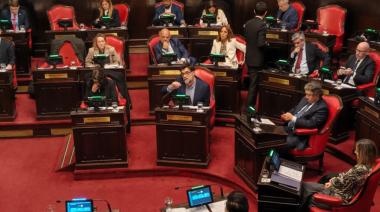 El cierre de Granja Tres Arroyos llegó al Senado y generó un cruce entre el peronismo y LLA