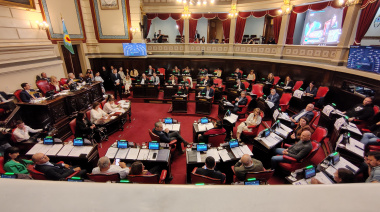 La Ley Ema deberá esperar: con cambios, el Senado aprobó la norma
