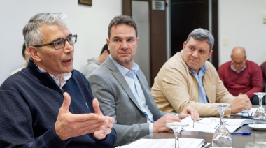 Por impulso del massismo, avanza la habilitación del uso de pistolas Taser