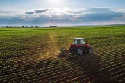 Productores agrarios en alerta ante el fin de la rebaja para soja y maíz