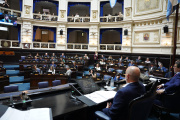 La Cámara de Diputados bonaerense aprobó dos proyectos clave para la salud y la niñez