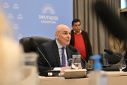Espert tuvo que renunciar a la comisión de Presupuesto para evitar la expulsión