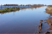 Crisis hídrica en la Provincia: El campo sufre inundaciones críticas y caminos rurales intransitables