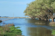 Alivio para el agro: ARBA suspende el cobro del Inmobiliario Rural en zonas inundadas 