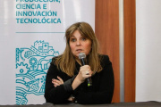 Soledad Martínez: "La desregulación monstruosa de Nación pone en riesgo a todo el sector turístico"