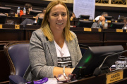 Arata apuntó contra el Gobierno por la eliminación de Zona Fría