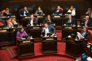 Zona Fría mostró grietas en la oposición del Senado y los libertarios quedaron solos