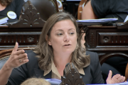“Estatuto legal del coloniaje”: Vanesa Siley fustigó la media sanción del “Súper RIGI”