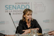 Senado bonaerense: con el foco en frenar a los intendentes, el massismo definine las reglas electorales