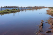 La Provincia declaró la Emergencia Agropecuaria por inundaciones en 9 de Julio y Necochea