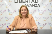 Los movimientos en el Senado fortalecen el armado de Pareja