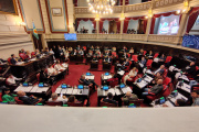 La Ley Ema deberá esperar: con cambios, el Senado aprobó la norma