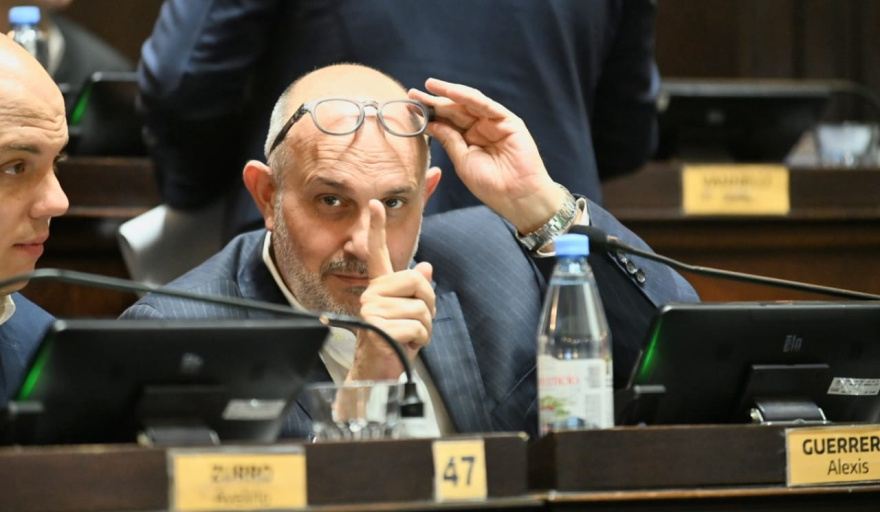 “Tarifas europeas, salarios argentinos”: Alexis Guerrera apuntó contra Milei por la quita de la Zona Fría