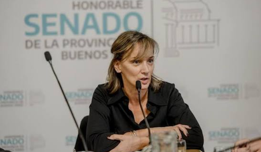 Senado bonaerense: con el foco en frenar a los intendentes, el massismo definine las reglas electorales